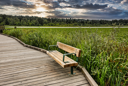 伯纳比湖公园内有新的木板凳的娱乐场所背景图片