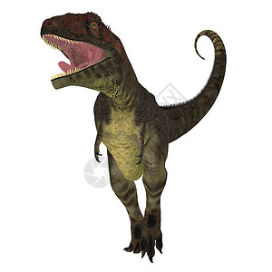 麻地龙恐龙侵略背景图片