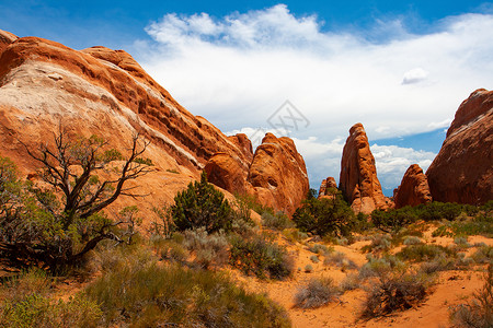 美国犹他州莫阿布国家公园峡谷岩石编队砂岩石头范围旅游图像动态橙子背景图片