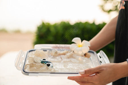 新鲜的生鱿鱼刺片 在塑料托盘中服务背景图片
