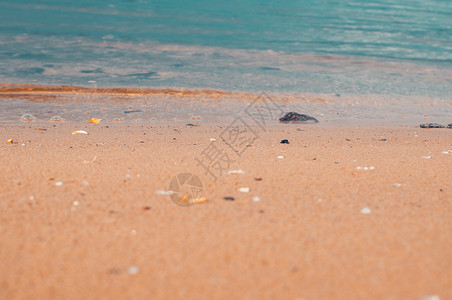 热带海滨和蓝色海洋的柔软波浪 夏季暗淡的一天和沙滩 有石块背景 暑假的概念 笑声卵石冲浪支撑海景海岸线阳光海岸泡沫地平线海浪背景图片