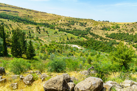 乔丹谷Eshkol森林景观溪流岩石绿色农村土地风景旅行裂痕国家旅游背景
