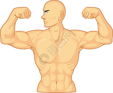 手臂弯曲健美运动员弯曲手臂二头肌肌肉卡通矢量绘图隔离插画