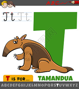 曼查德廷塔带有卡通食蚁兽动物特征的字母表中的字母 T设计图片