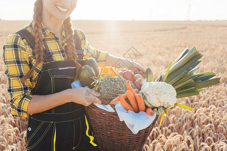 提供健康蔬菜的农民妇女园艺食物收获市场花园黄瓜洋葱豆子农家女小麦感恩背景图片