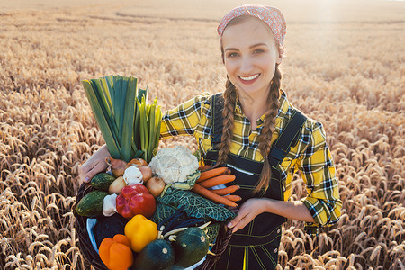 国内收割时间 提供蔬菜的女农农民小麦感恩收成农家女场地豆子盒子沙拉市场女孩背景图片