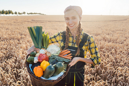 国内收割时间 提供蔬菜的女农农民食物收成村庄营养市场花园萝卜豆子服务市场场地背景图片
