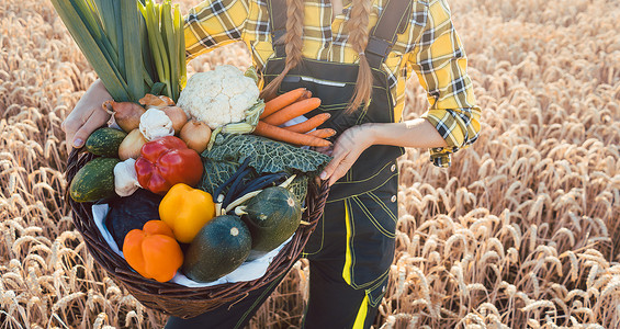 女人提着篮子 里面装着当地生产的健康蔬菜园艺市场女孩奉献菜篮子花园粮食农民送货收成背景图片