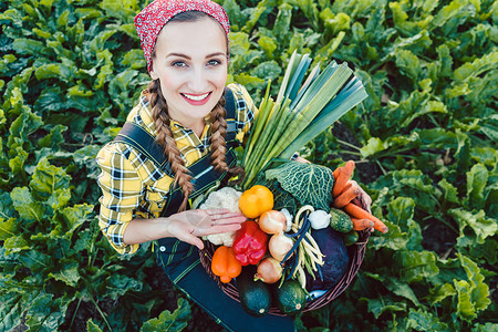 农民妇女在提供有机蔬菜的田间农妇女孩花园收获场地服务食物市场营养感恩黄瓜背景图片