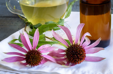 刺激剂与药用植物Echinacea的草药茶输液药物治疗草本植物生活方式光束收成收藏种子花瓣背景