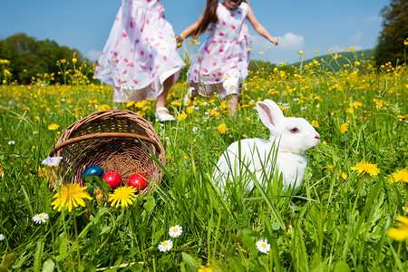 复活节儿童与兔子一起打蛋草地寻蛋传统蓝色跑步篮子孩子们兄弟姐妹家庭女孩们背景图片