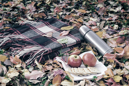 空气能热水早餐 毛毯 热水 食物咖啡概念空气格子野餐松针苔藓远足假期热水瓶背景