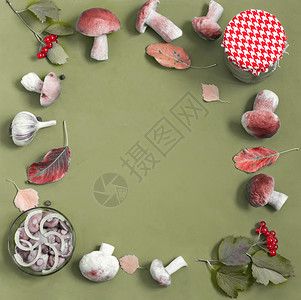 蓝底蘑菇和清新蘑菇树叶蔬菜装罐打扫收成水罐植被美味植物菜肴背景图片