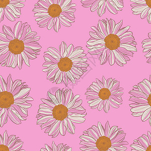 白色粉红色花瓣粉红色背景上黄色中心的白色和粉红色雏菊的无缝图案插画