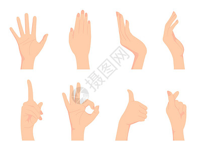 指北标志女性手势手印矢量示意图设置OK标志 拇指举起 手指心等成功载体女手拳头行动女士棕榈皮肤指针团体插画