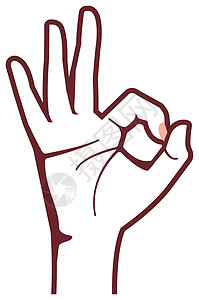 女性手势手势矢量它制作图案收藏插图指针女手信号手指手臂团体拇指棕榈背景图片