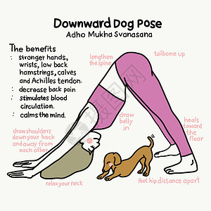 运动的狗Dog Yago 向下瑜伽的姿势和好处冥想卡通片练习灵活性身体活动沉思平衡教程女孩设计图片