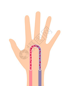 蓝色伤口手部血液循环图简化图像插画