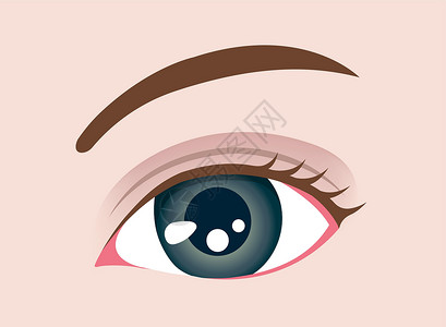 睛的女性特写眼睛矢量图制作图案插画