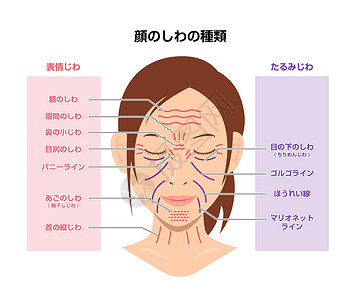 祛鱼尾纹表情皱纹和老化皱纹女性面部矢量图日本设计图片