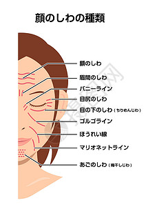 面部皱纹女性面部矢量图日本化妆品女士卡通片老化鱼尾纹治疗成人前额皮肤脖子设计图片