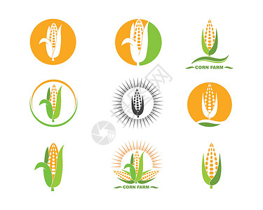 花糯甜玉米玉米矢量图标插图设计叶子产品饮食内核植物群收成植物农业粮食金子插画