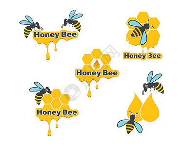 生态蜂蜜蜂蜜蜜蜂徽标模板矢量图标它制作图案标识剪贴簿昆虫收藏卡通片动物群生物广告食物蜂巢插画