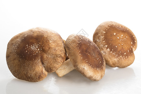 三个什叶竹蘑菇房背景图片