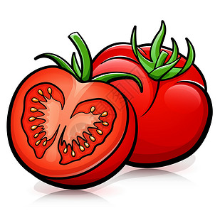 矢量西红柿隔离设计绘图背景图片