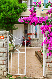 以鲜亮紫花装饰一栋住宅楼的火鸡街道旅行衬套建筑学房子花园农村入口院子背景图片