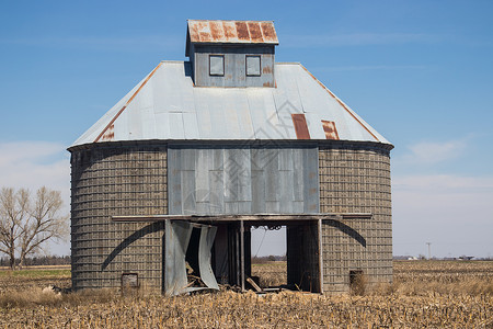 内布拉斯加(Nebraska)的玉米田高清图片