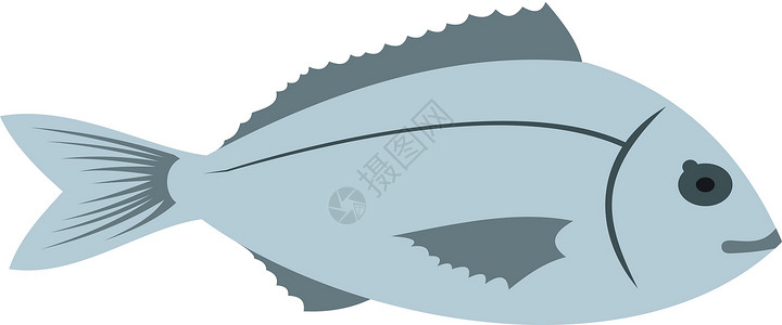 水产图标平面样式中的鲷鱼图标插画