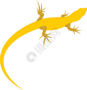 水陆两用平面样式中的 Triton 图标眼睛尾巴捕食者动物爬虫动物群动物学沼泽蝾螈环境插画