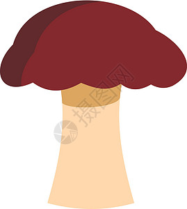 野生枞菌汤蘑菇生长绘画艺术食谱植物营养餐厅食物森林饮食设计图片