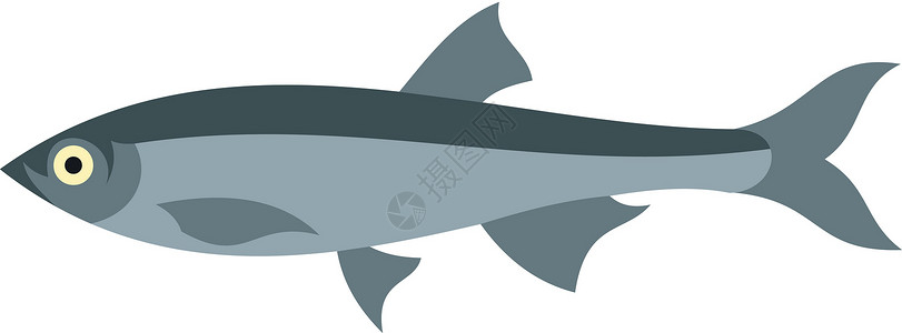 鲱鱼湾鲱鱼 iconflat 样式插画