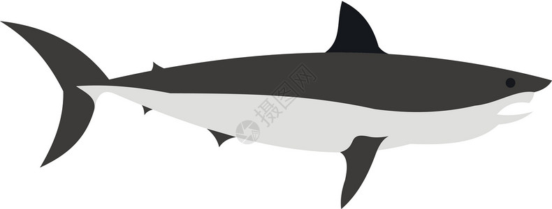 平面样式中的鲨鱼图标设计图片