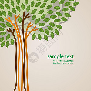 树生态横幅叶子小册子环境卡片生长季节橡木花园背景图片