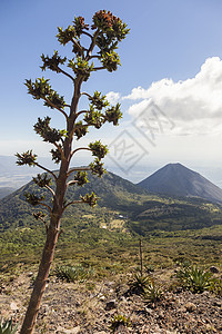 洛斯火山伊萨尔科火山天际线高清图片