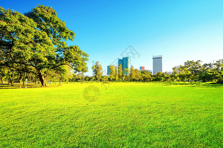 日间美丽的花园草地建筑绿色天空阳光耀斑曲线蓝色小路公园背景图片