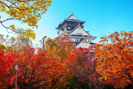 城堡公园大阪城大阪城堡 秋叶建筑学场景遗产吸引力观光叶子树叶树木旅游风景背景