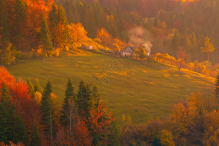 山上的秋叶树 草原和干草堆房子草垛仙境草地叶子风景天空季节爬坡旅行背景图片