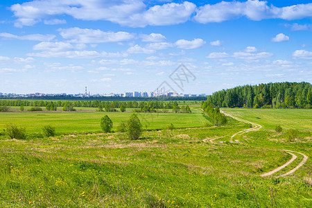 波兰牧场在领域的夏天晴朗的风景 美丽的夏日风景 白天在阳光下的照片 俄罗斯的性质蓝色植物群季节场景农场草地生长土地地平线栽培背景