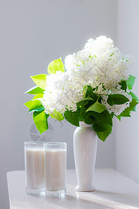 复古花背景牛奶和白色丁香花 花瓶里放着几杯牛奶和白花 牛奶 喝 关于牛奶的好处的文章背景