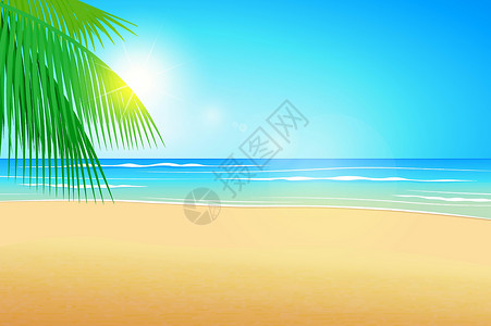热带海滩背景海沙和椰子树和平自由蓝色旅行插图晴天太阳墙纸假期叶子插画