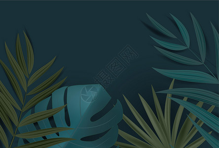 植物框架抽象的自然背景与热带棕榈和龟背竹叶 矢量图 Eps1丛林插图卡片框架天堂打印情调邀请函绿色异国插画