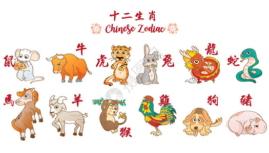 虎咬猪有趣的十二生肖鼠兔虎兔龙蛇马羊猴鸡狗猪 中国12矢量它制作图案插画