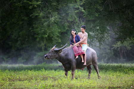骑牛泰国农村水牛服农装的一对夫妇农场主部落收获环境水牛农业森林山地旅行车喇叭生活背景
