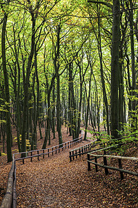 济兹沃尔堡波兰沃林国家公园高清图片