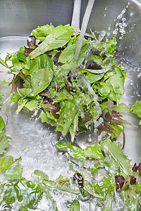 洗沙拉绿色蔬菜健康维生素卫生饮食背景图片
