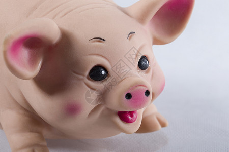 橡胶玩具猪壳闭合 猪口罩高清图片